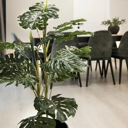 Ultra Chic Modern 4 Bedrooms In Appartement *